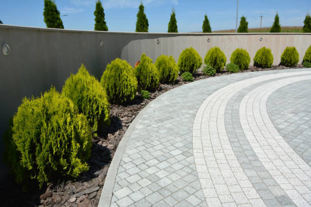 Best Driveway Paver Repair  in Hickory, NC